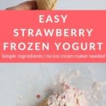 strawberry frozen yogurt pin 1
