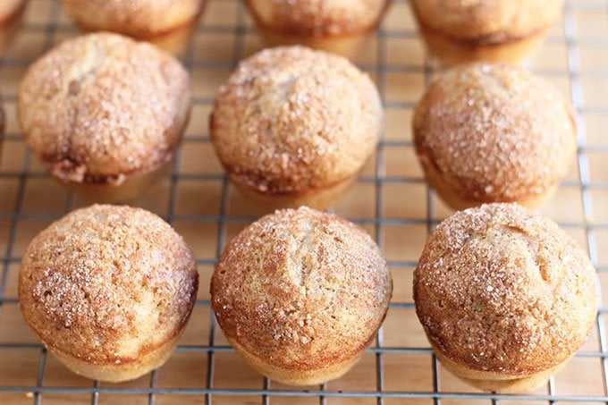 mini-cinnamon-muffins