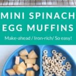 spinach egg muffins pin 1