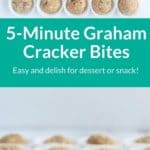 graham cracker bites pin