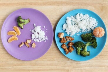 toddler-plates-with-chicken-and-rice