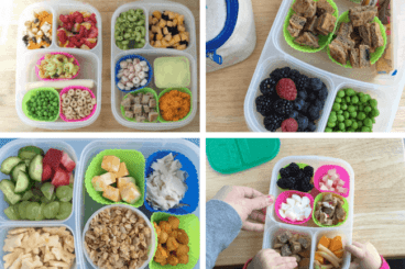 Master List of Toddler Lunchbox Ideas