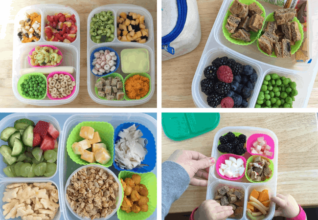 toddler lunch box ideas in grid with toddler lunchboxes packed for the day