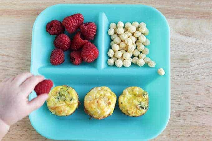 mini egg muffins with veggies