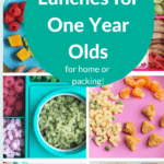 one year old lunch pin 1