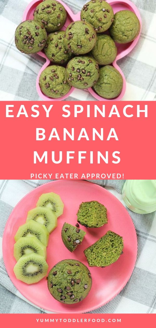 Sweet Spinach Muffins with Banana (Perfect for Babies + Toddlers