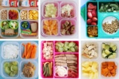 6 toddler daycare lunches in grid