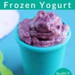 frozen yogurt pin 1