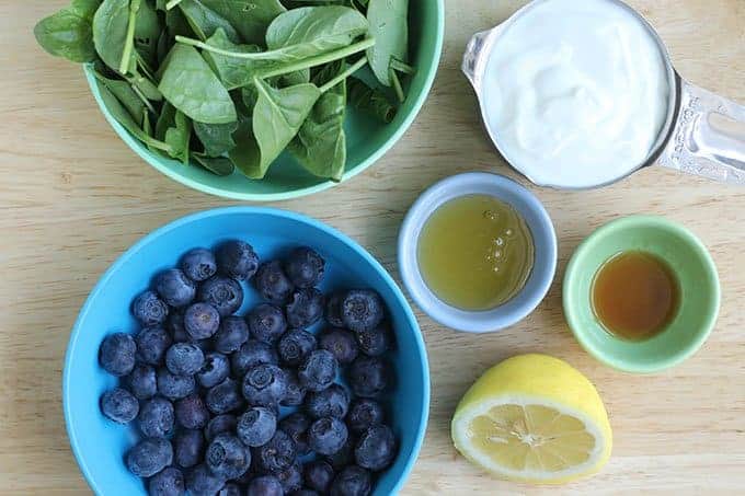 ingredients in blueberry frozen yogurt pops