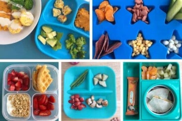 master list of toddler lunches and ideas