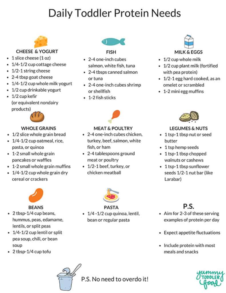 toddler protein guide