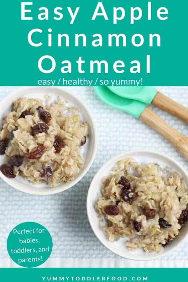apple oatmeal with raisins in white bowl with spoon