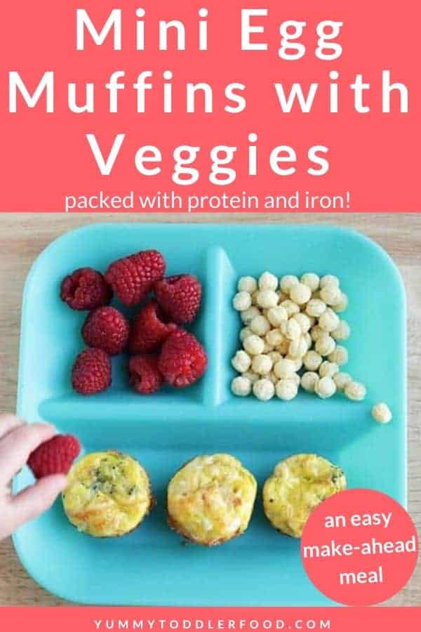 veggie egg muffins on kids plate