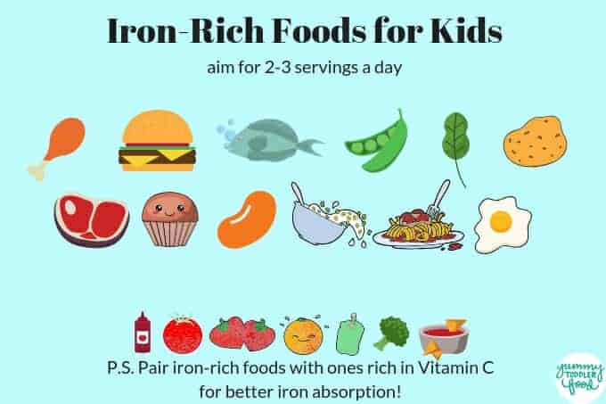 Best Iron-Rich Foods for Babies, Toddlers, & Big Kids (with ...