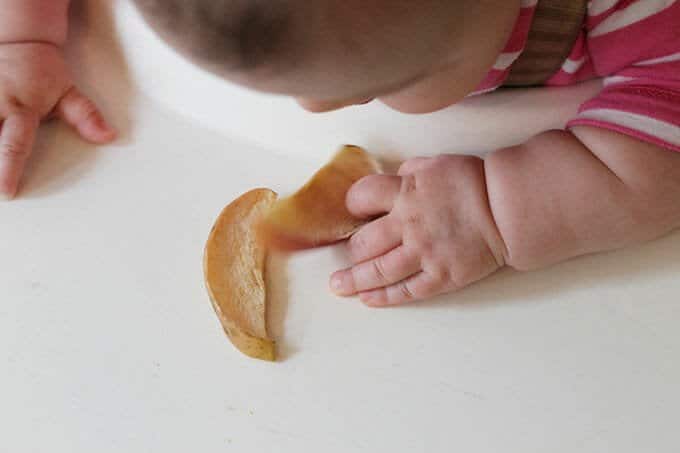 Ultimate Guide To Baby Led Weaning And Best First Foods