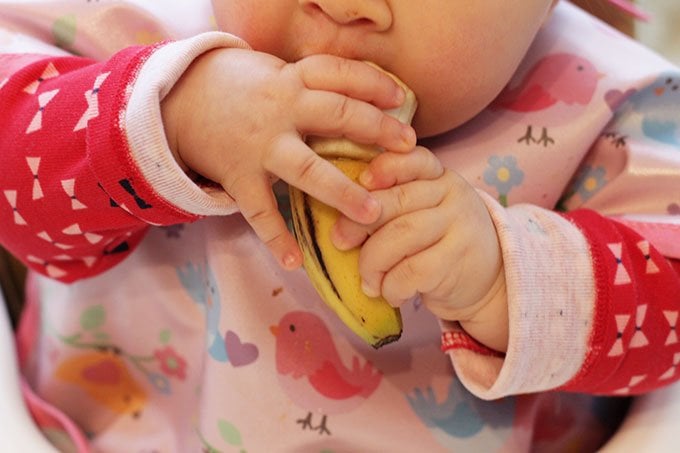 baby eating banana baby led weaning style