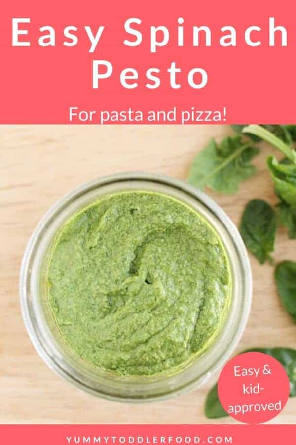 ingredients-in-spinach-pesto