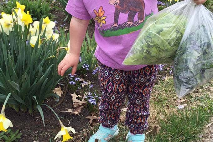 toddler with purple shirt and salad