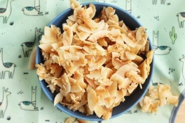 homemade-coconut-chips-in-blue-bowl