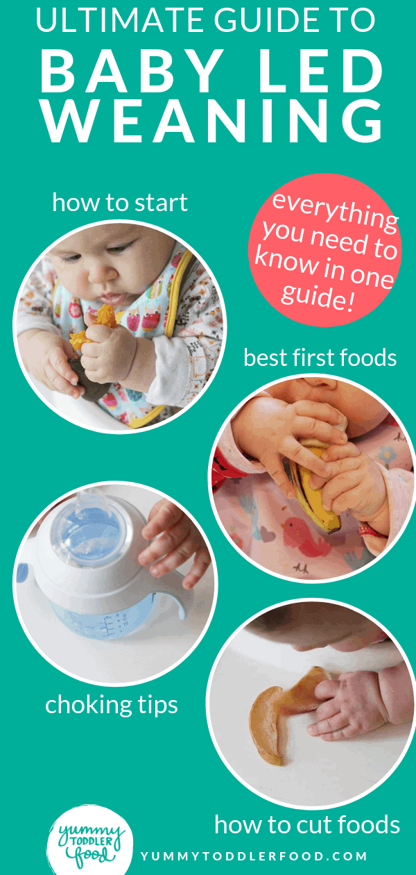 Ultimate Guide to Baby Led Weaning (and Best First Foods)