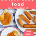 sweet potato baby food pin 1 copy