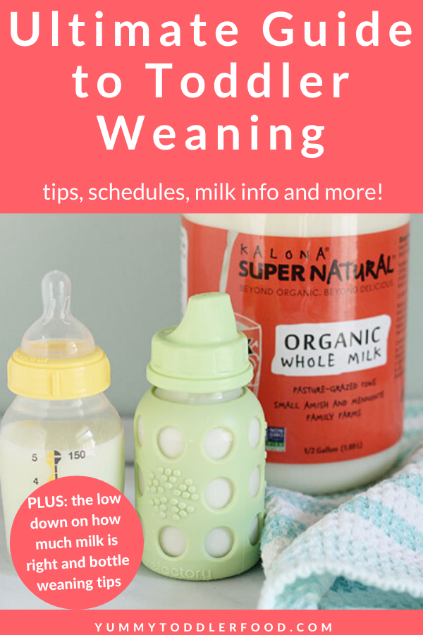 baby-bottle-and-sippy-cup-of-milk