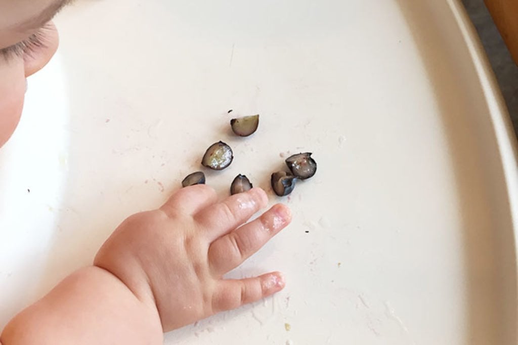 baby hand with blueberries on highchair tray