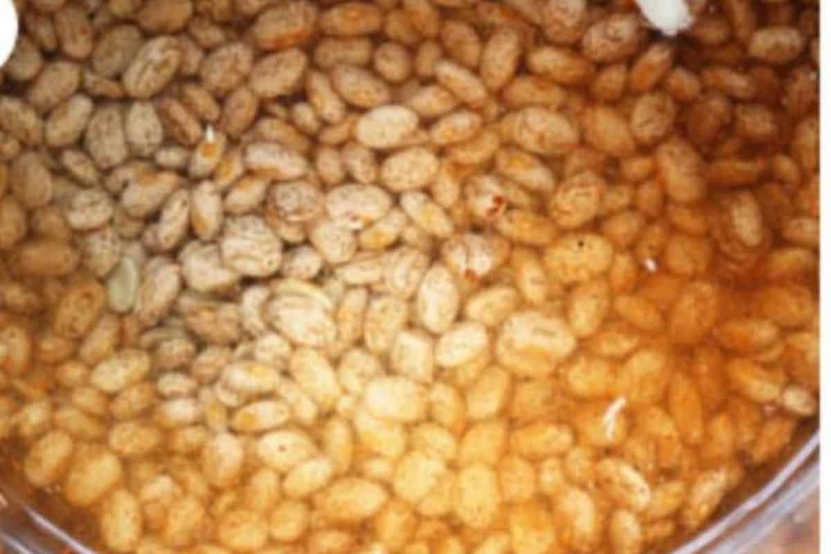 Pinto beans and water in instant pot.