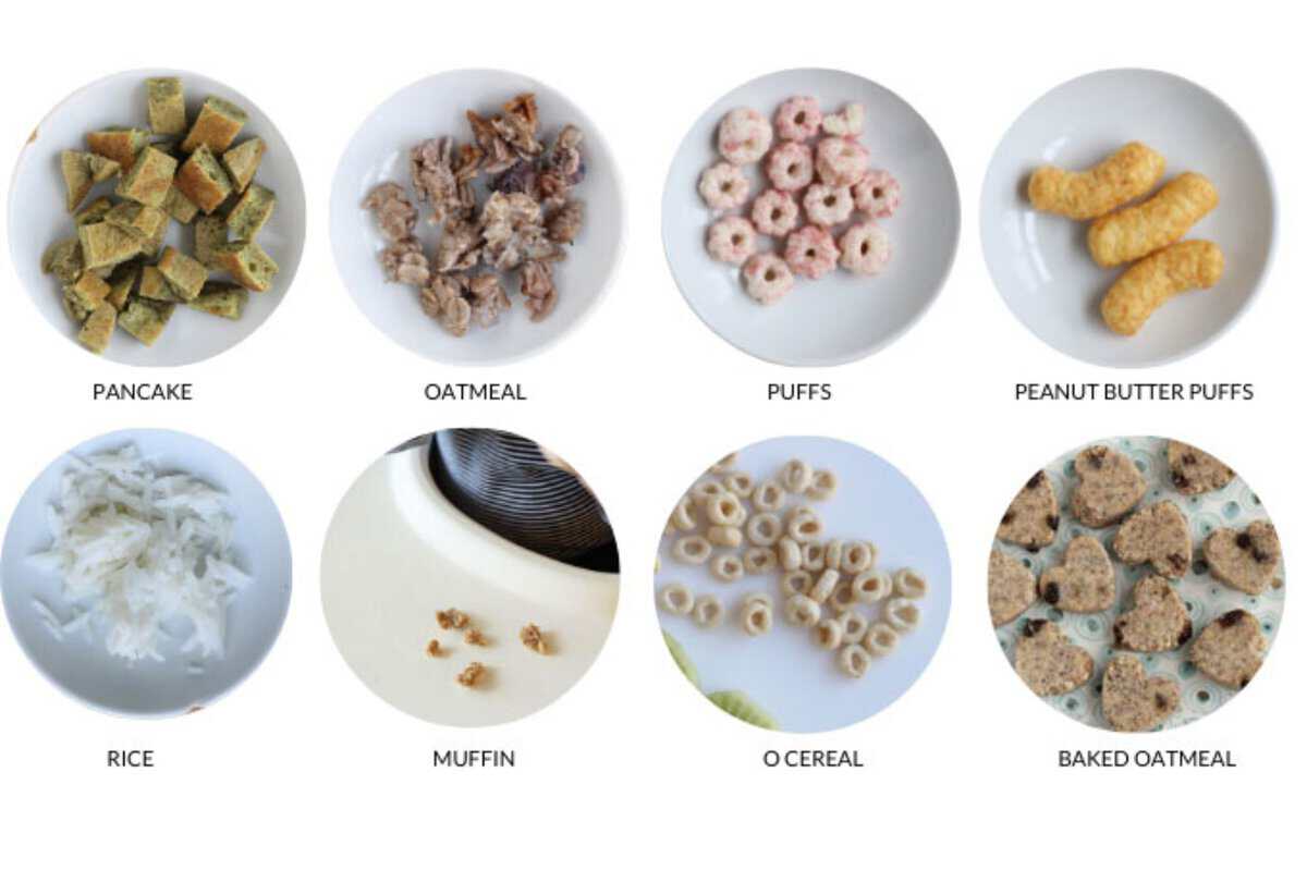 carbohydrate finger foods in grid.