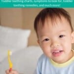 Ultimate Guide to Toddler Teething Pin.
