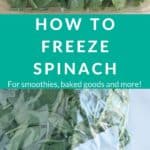 freeze spinach pin 1