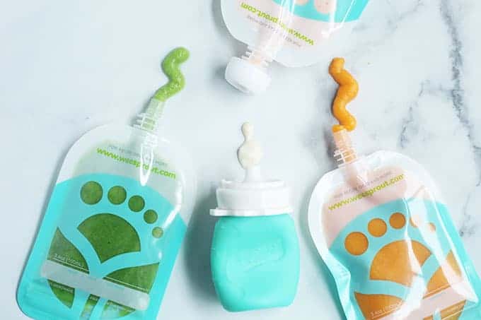 Best Baby Food Pouches (Easy Homemade Ideas)