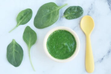 spinach-puree-in-white-bowl
