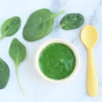 spinach-puree-in-white-bowl