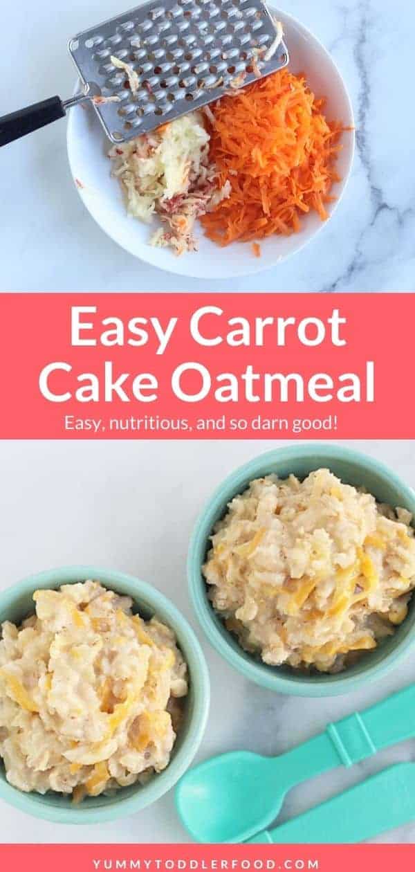 carrot oatmeal pin 1