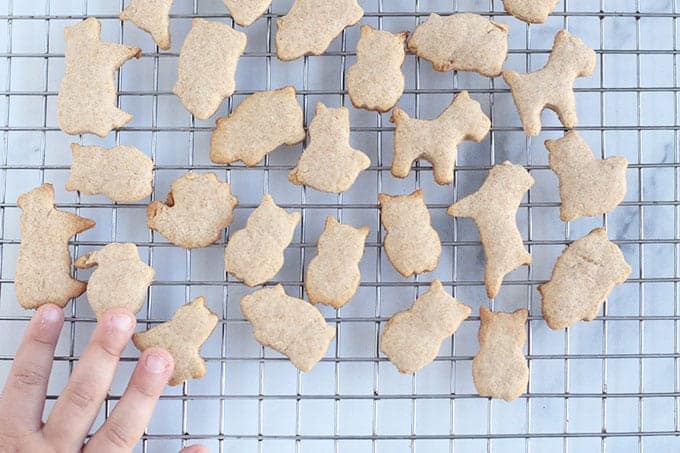 Easiest Animal Crackers Recipe