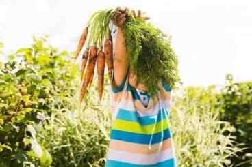 toddler-holding-fresh-carrots