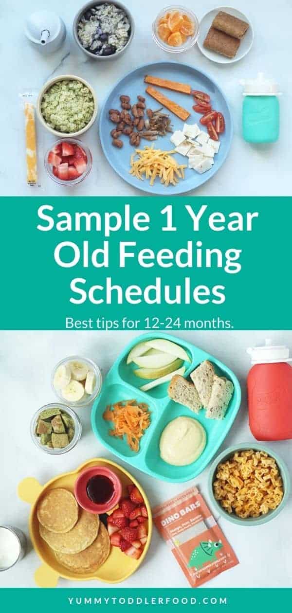 1 Year Old Feeding Schedule (With Sample Meal Plans)