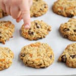 healthy-oatmeal-cookies-with-carrots