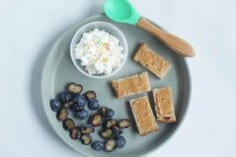 toddler-plate-of-food-with-toast,-berries-and-cottage-cheese