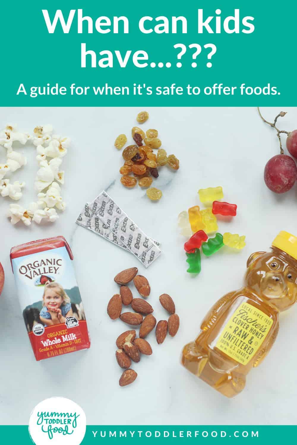 When Can Kids Eat.? (A Guide for Feeding Kids Common Foods Safely)