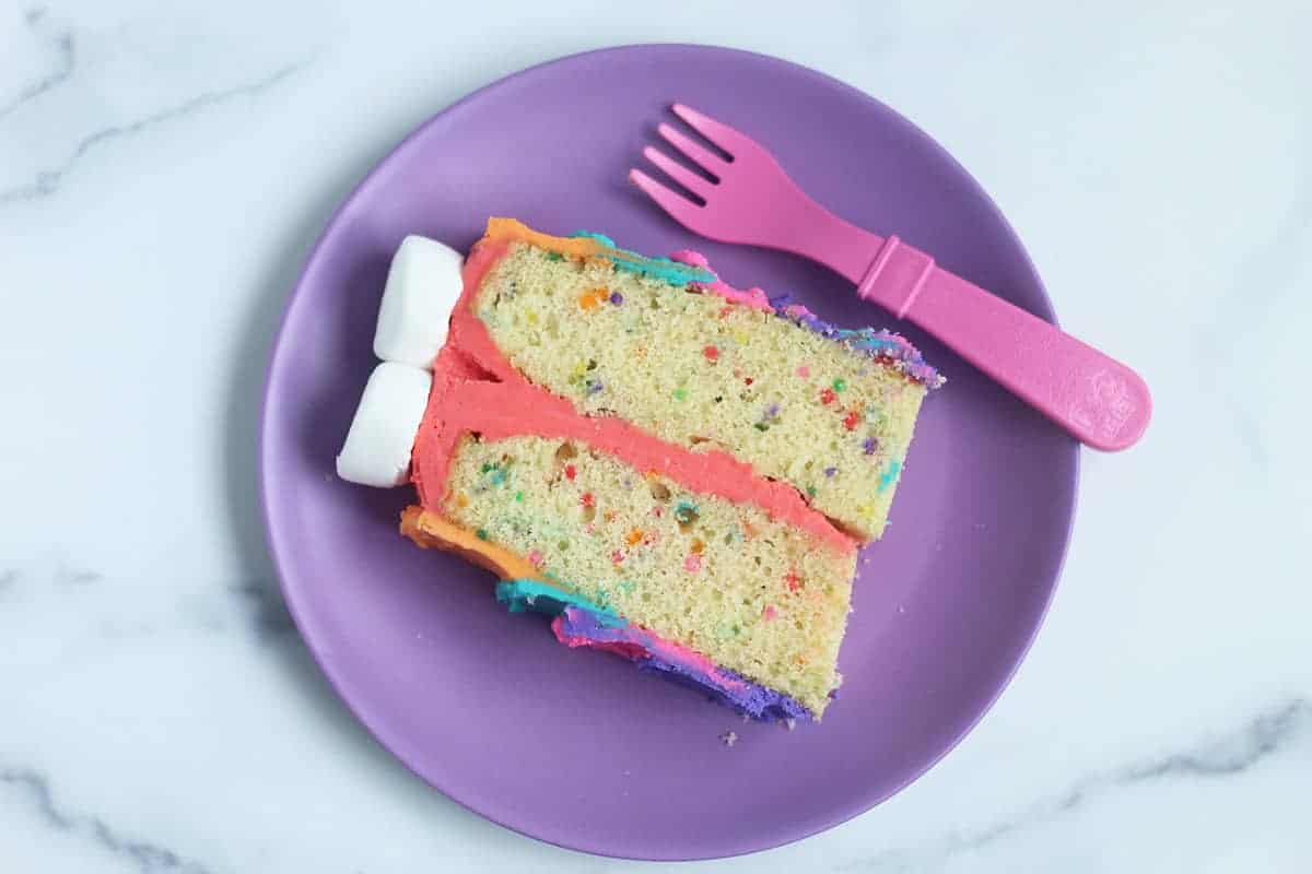 slice-of-rainbow-cake-on-purple-plate
