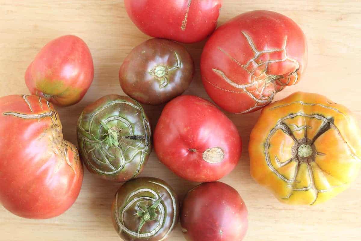 heirloom-tomatoes-on-countertop