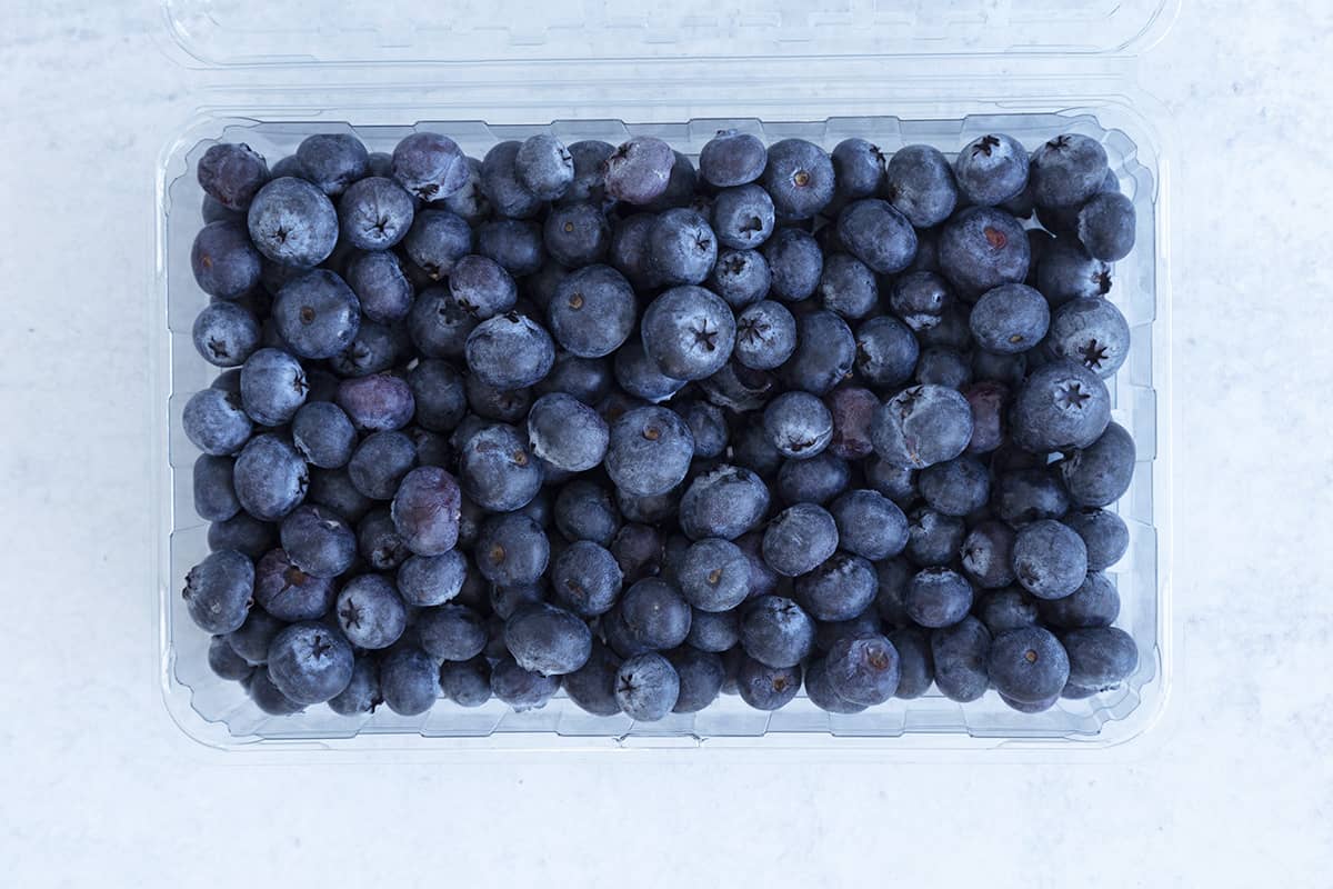 blueberries-in-container