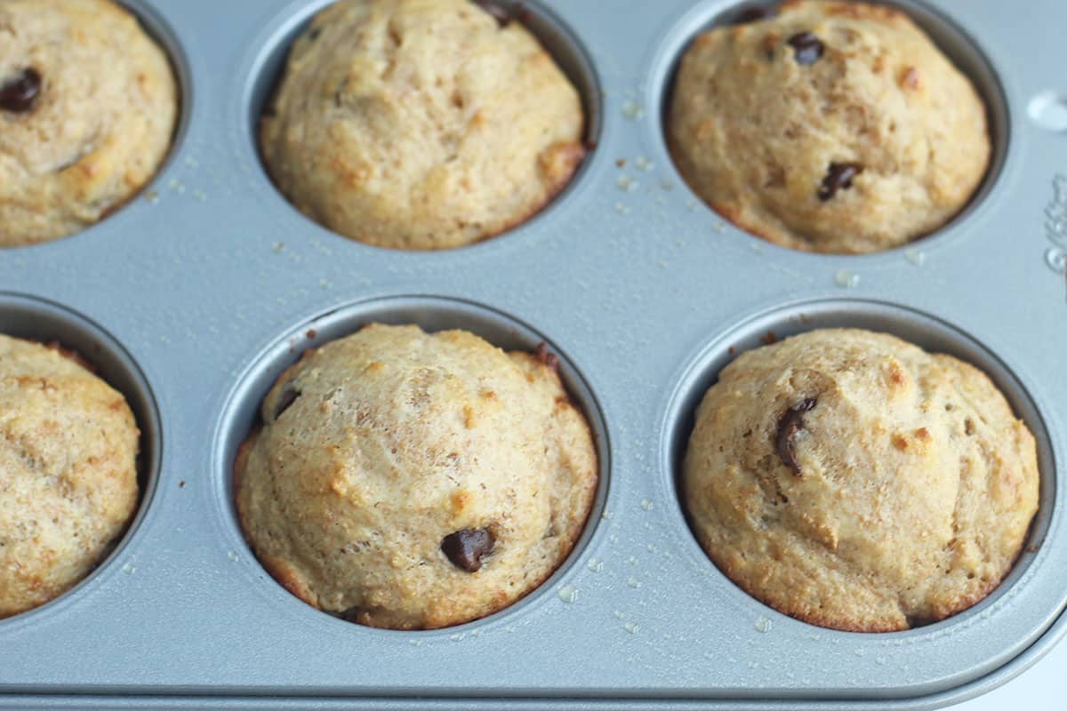 baked healthy chocolate chip muffins in muffin pan.