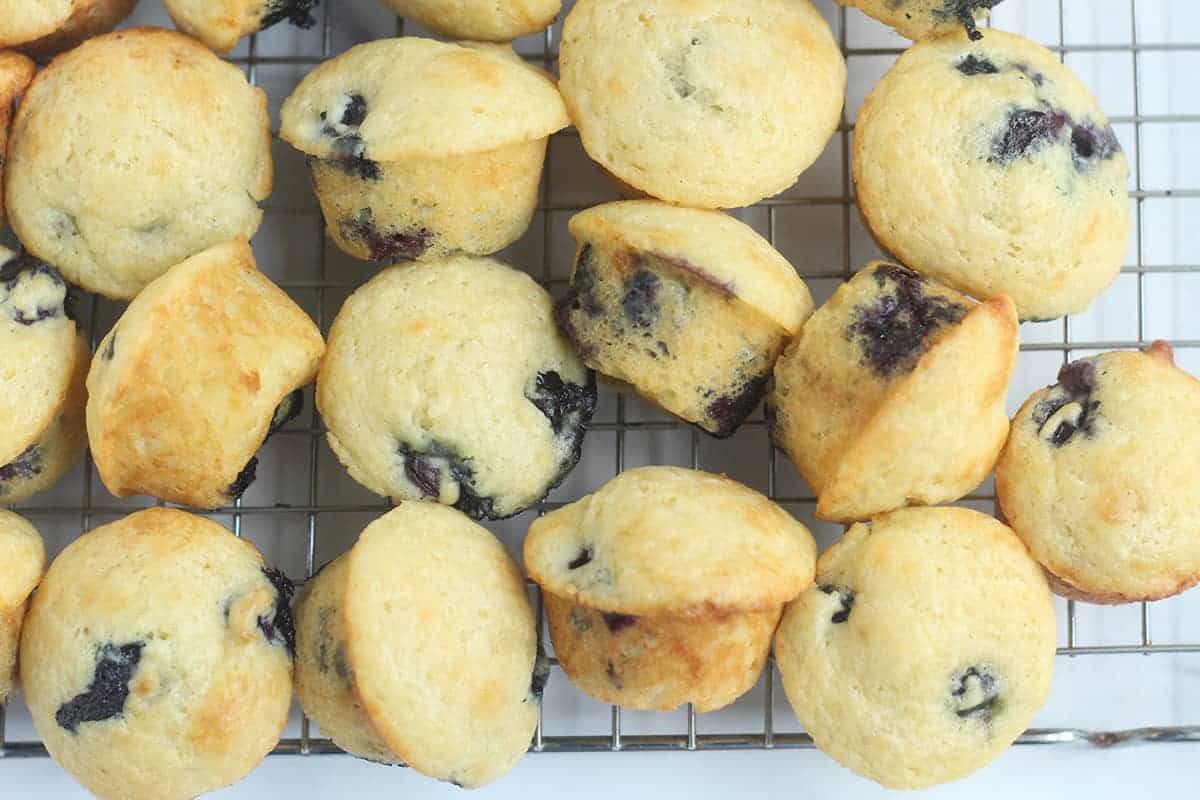 mini blueberry muffins on wire rack