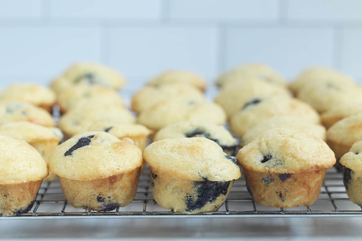 mini blueberry muffins on wire rack.