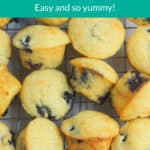 blueberry-mini-muffins-pin-1