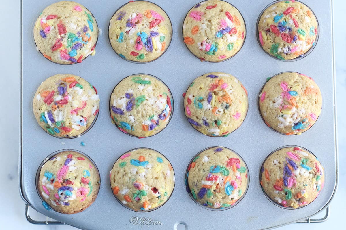 Birthday cake muffins in muffin pan after baking.