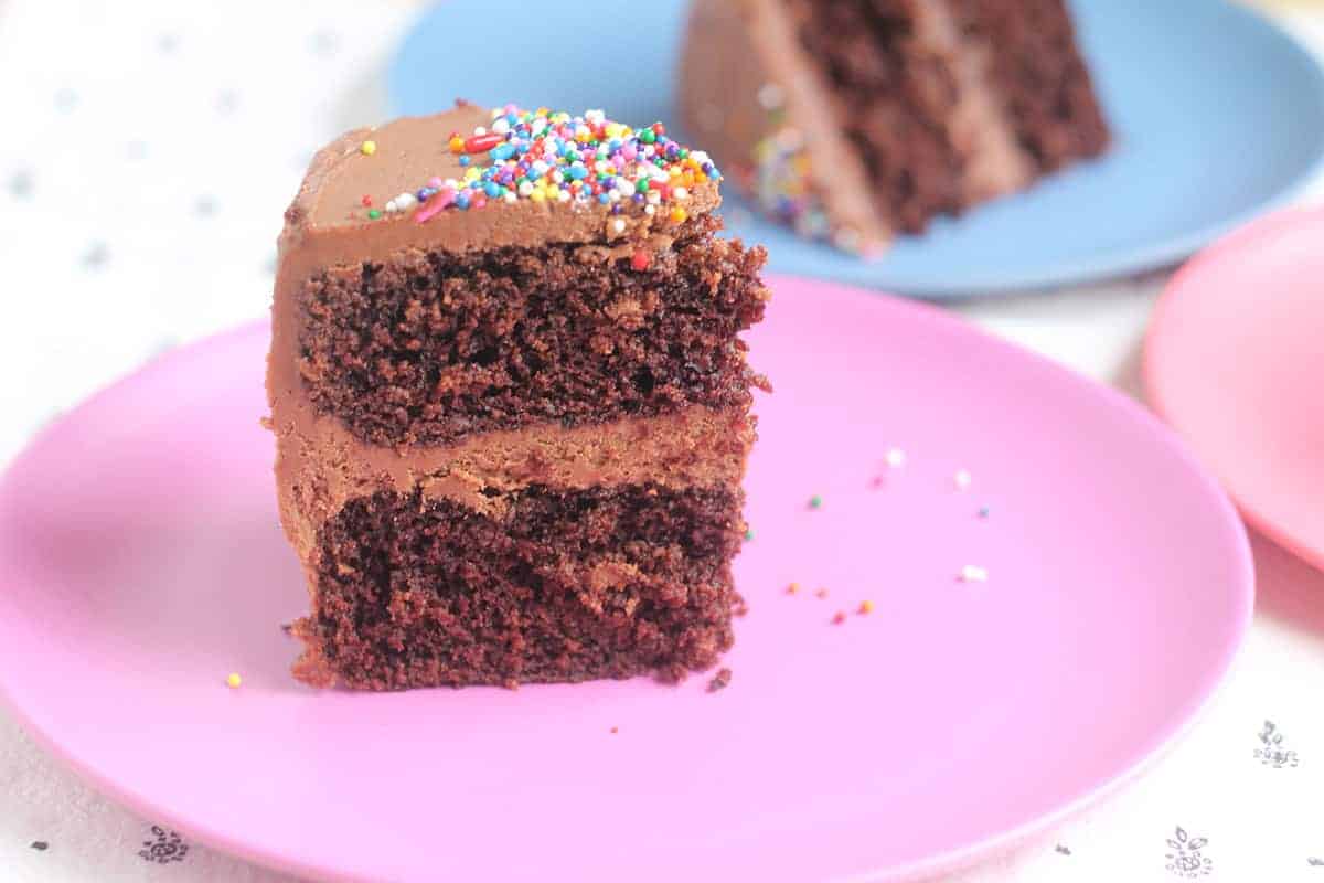 slice of chocolate cake on pink plate.